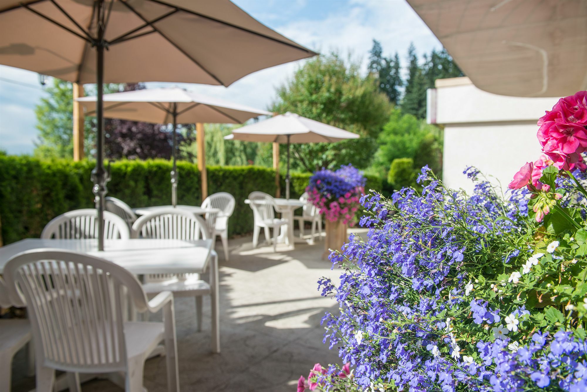 Hilltop Inn - Салмон Арм Экстерьер фото